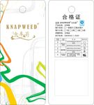太阳眼镜