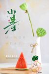 小暑海报