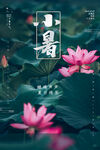小暑海报