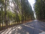 乡间小路