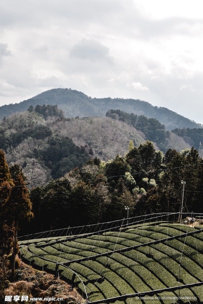 户外梯田自然景观