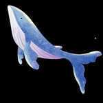海洋公园海底世界鲸鱼