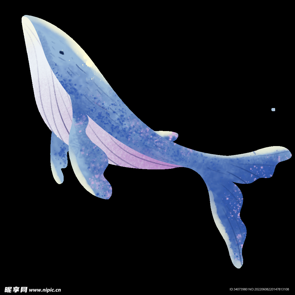 海洋公园海底世界鲸鱼