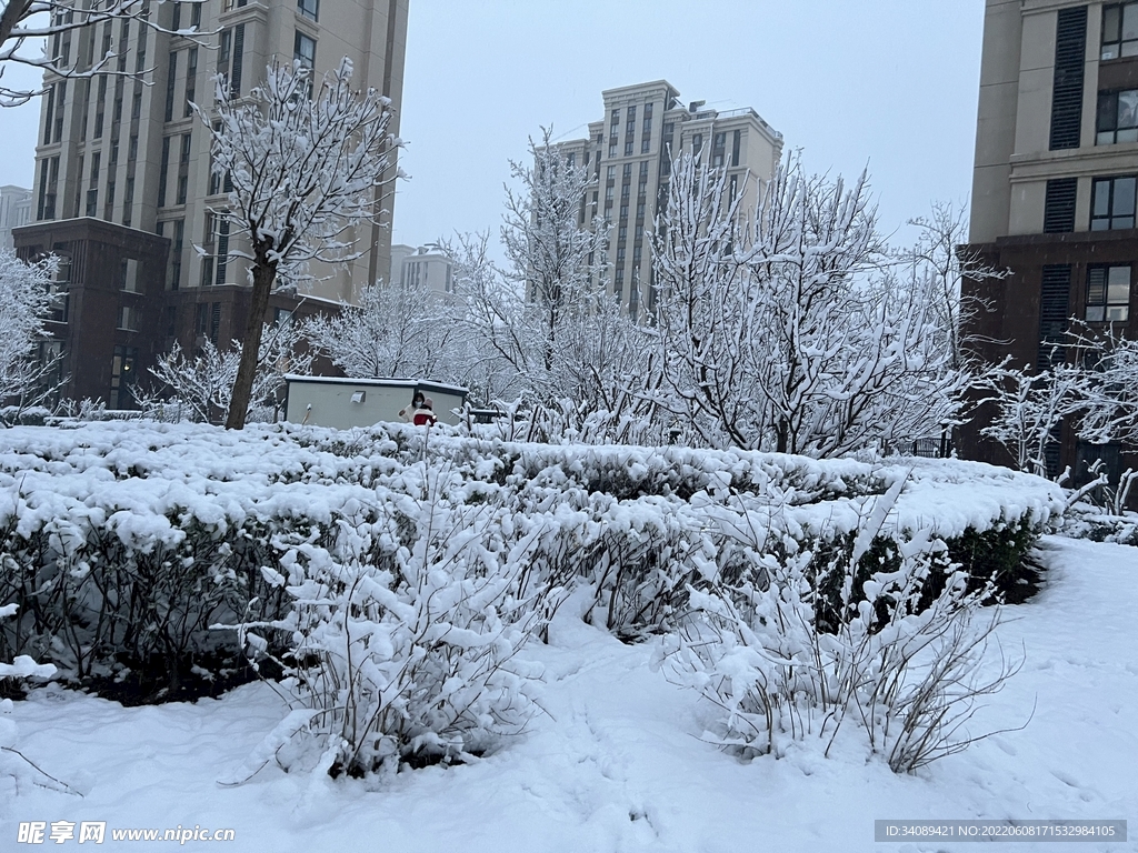 雪景