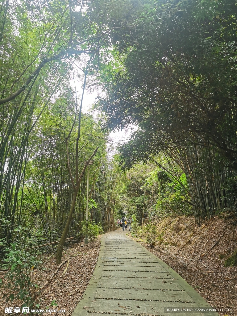 山间小路