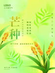 芒种