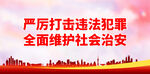 严厉打击违法犯罪