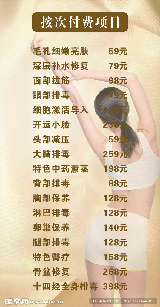 按次付费项目