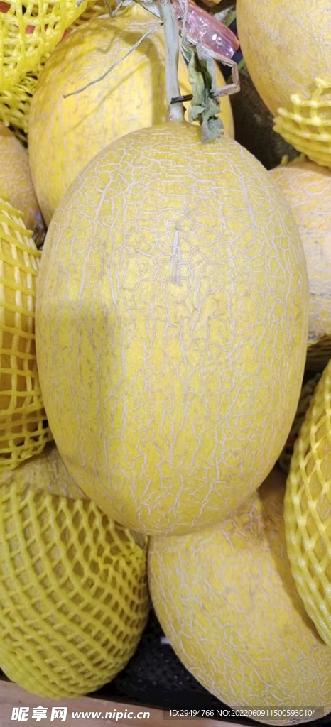 威龙蜜瓜