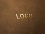 logo样机