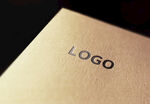 logo样机效果图