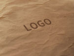 logo样机