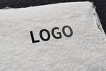 logo样机效果图