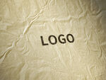 logo样机