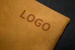 logo样机效果图