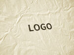 logo样机效果图