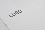 logo样机效果图
