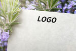 logo样机