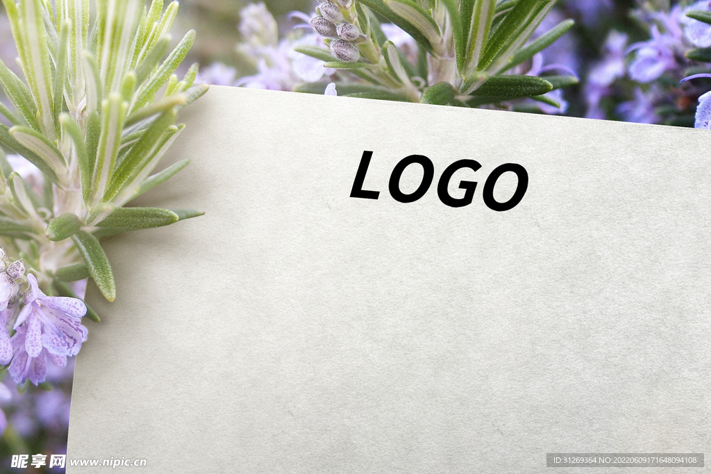 logo样机