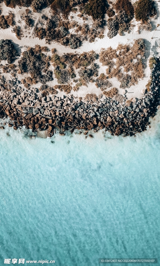 大海