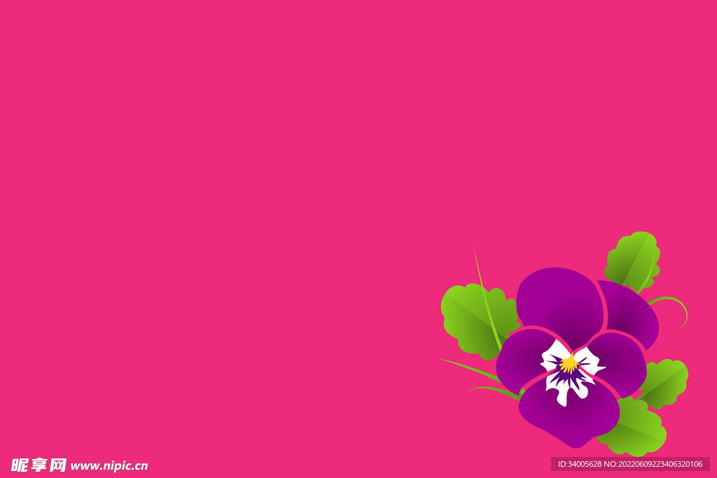 玫红紫花