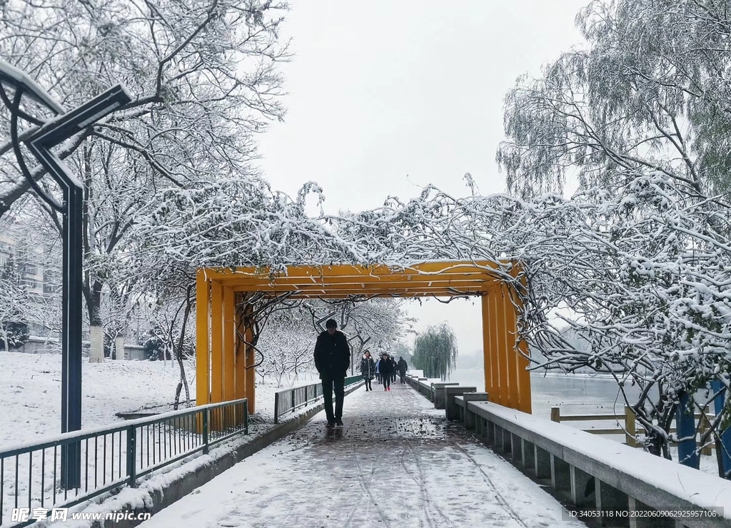 雪景