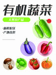 有机蔬菜