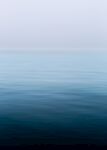 海