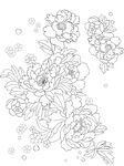 线描牡丹