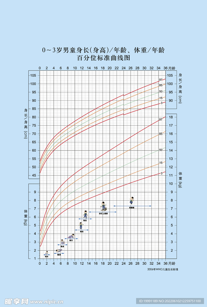 0-3岁男童体重身高百分位数曲