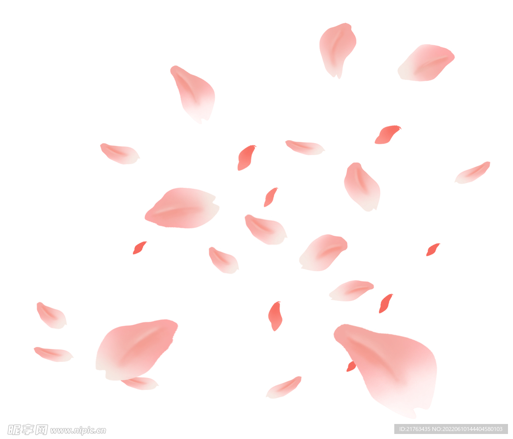 花瓣