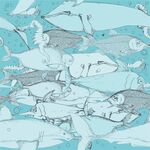 海洋生物插画