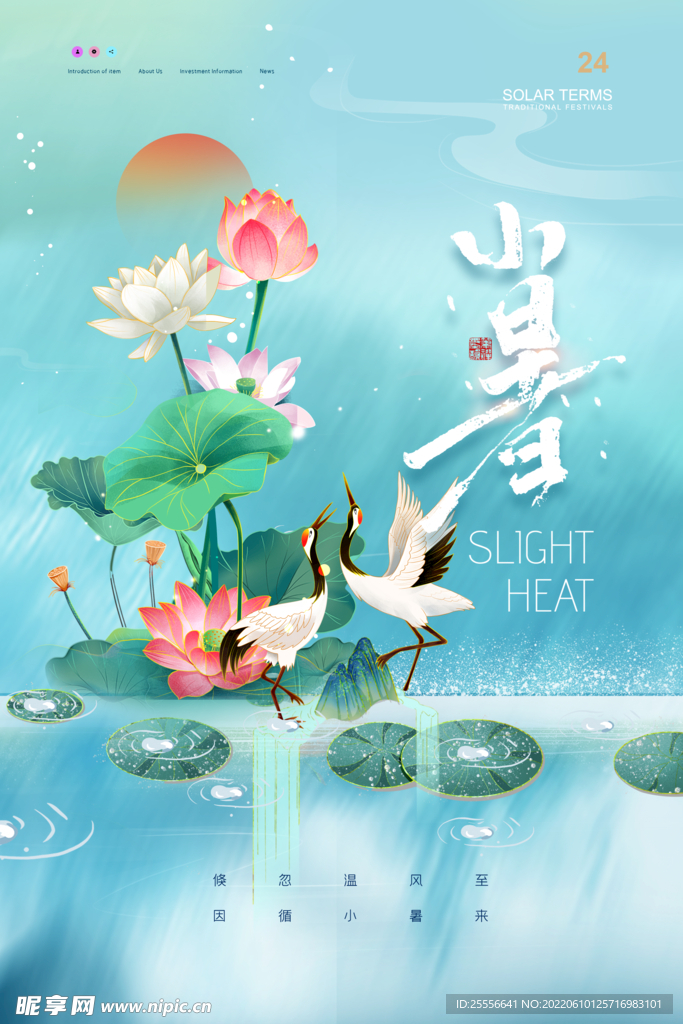 小暑海报