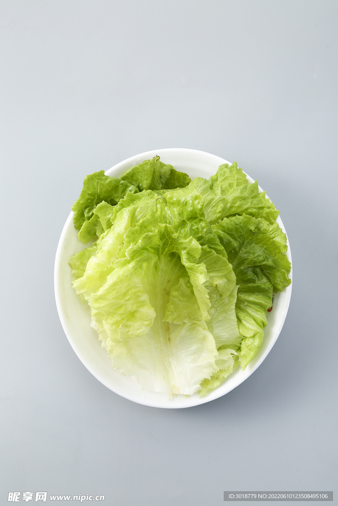 生菜