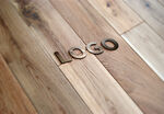 logo样机