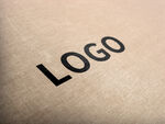 logo样机效果图