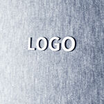 logo样机效果图
