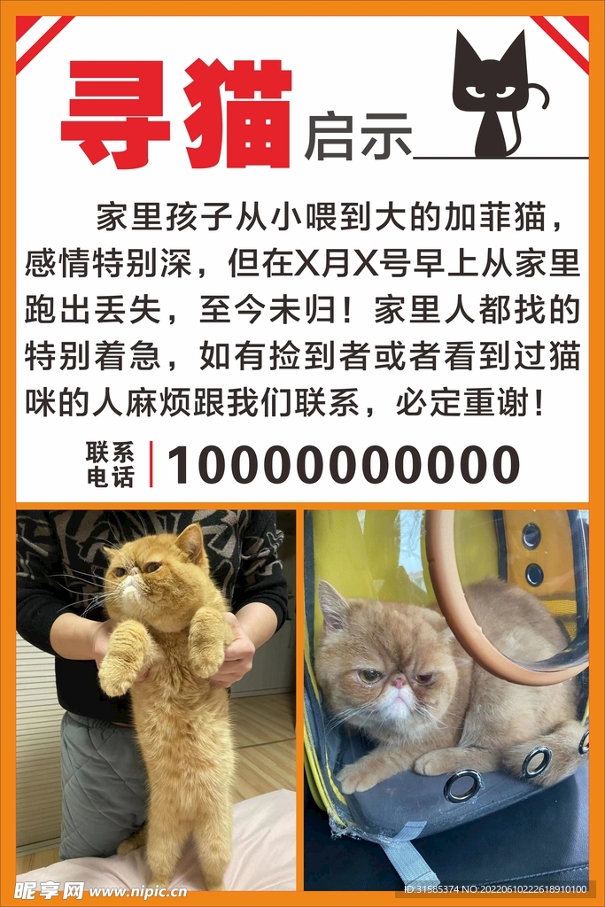 寻猫启示样板启事图片