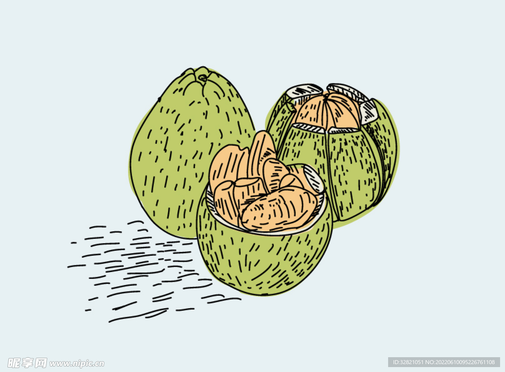核桃手绘