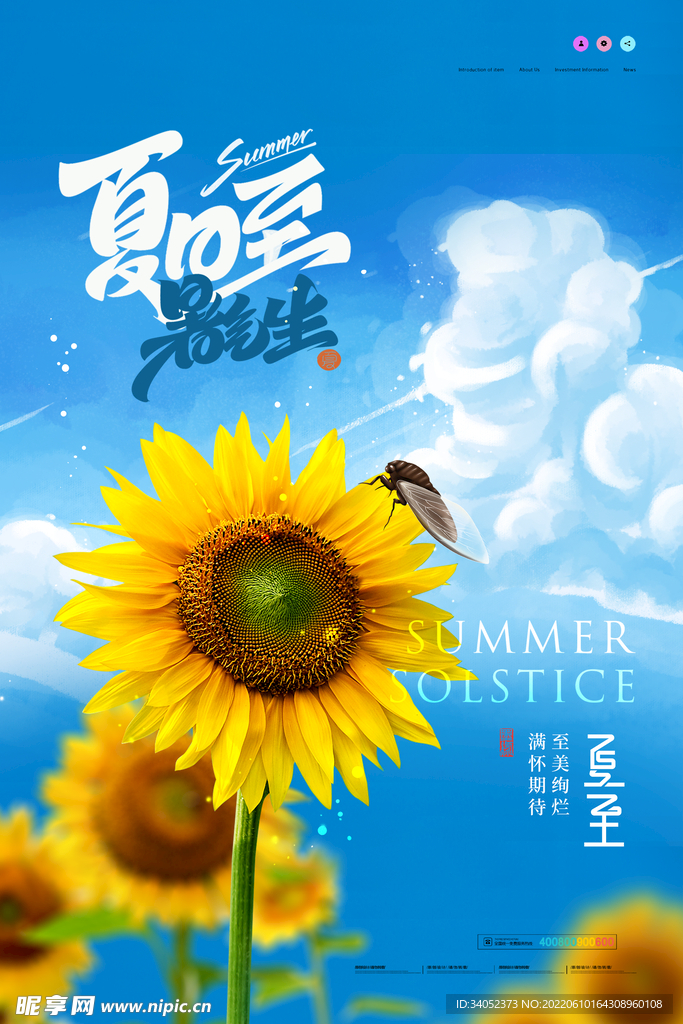 夏至海报