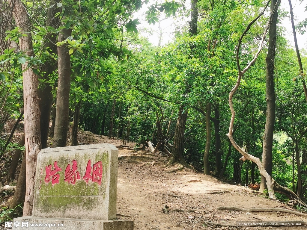 山间小路