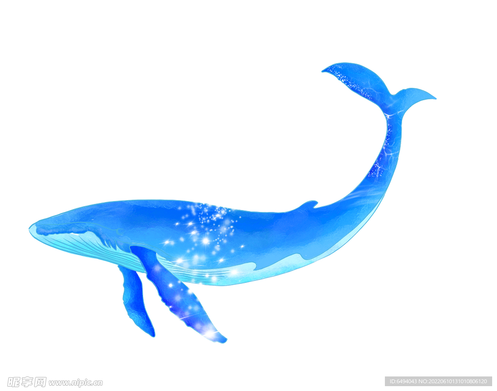 大鱼海棠鲸鱼