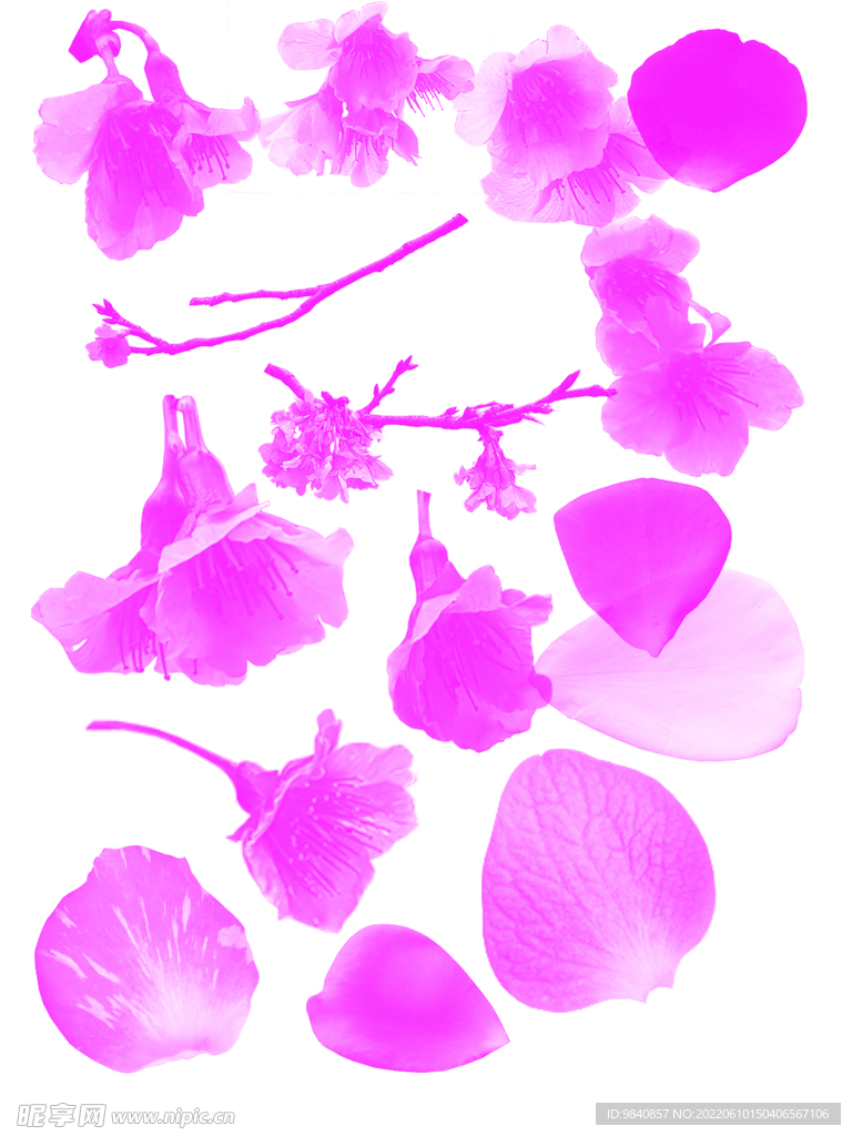 花