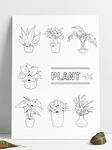 线描植物绿植