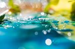 抽象水滴散景
