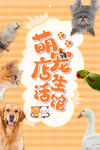 宠物店