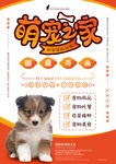 宠物店