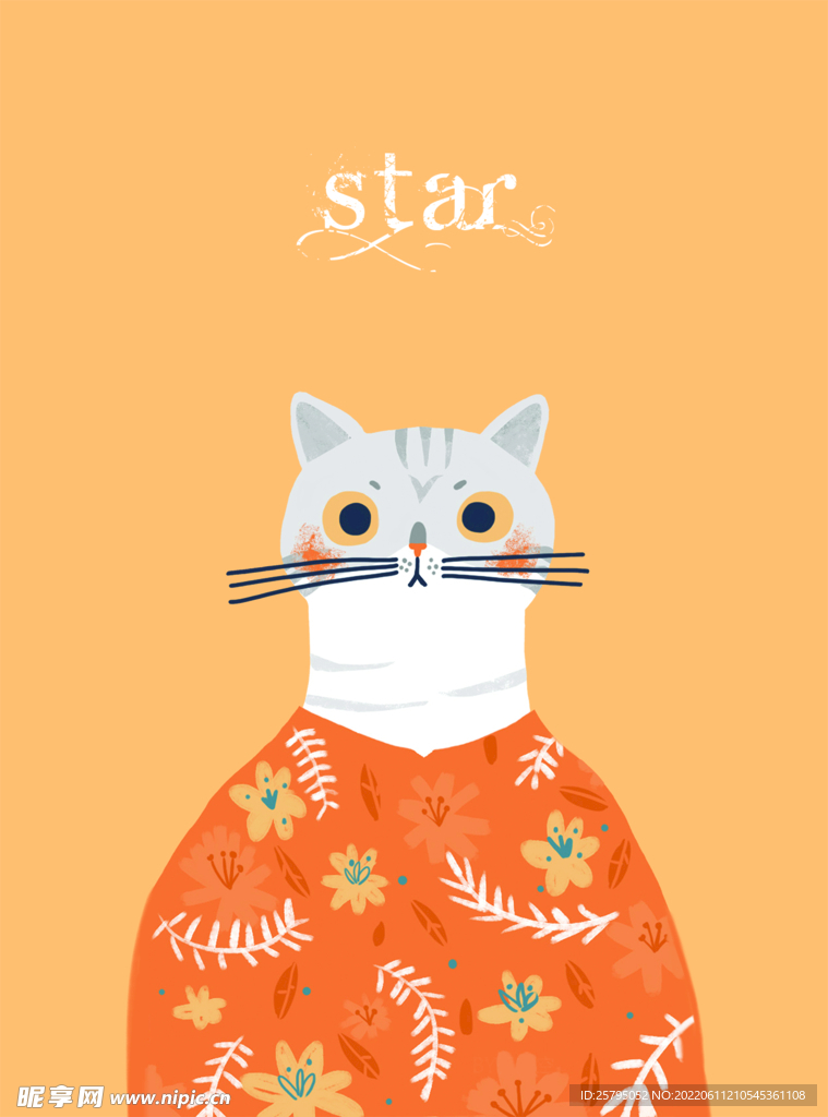 猫