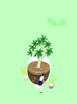 植