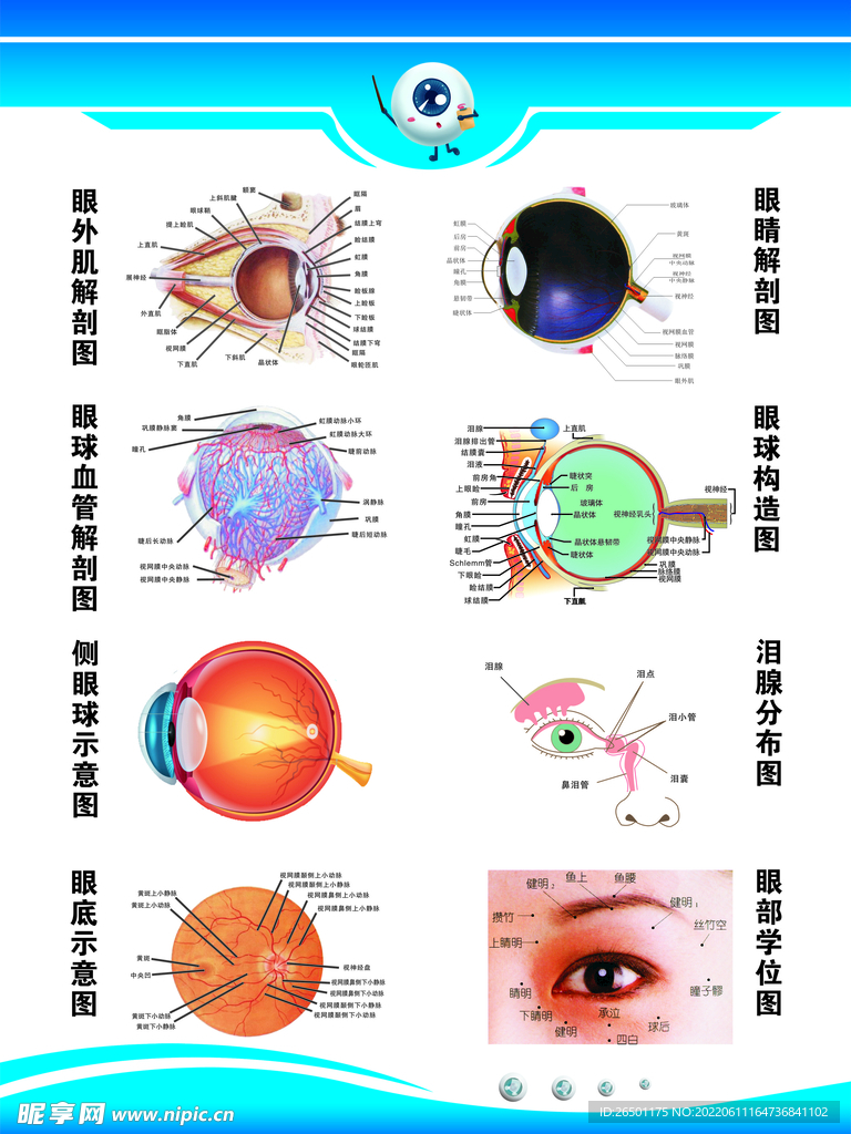 眼睛视力表